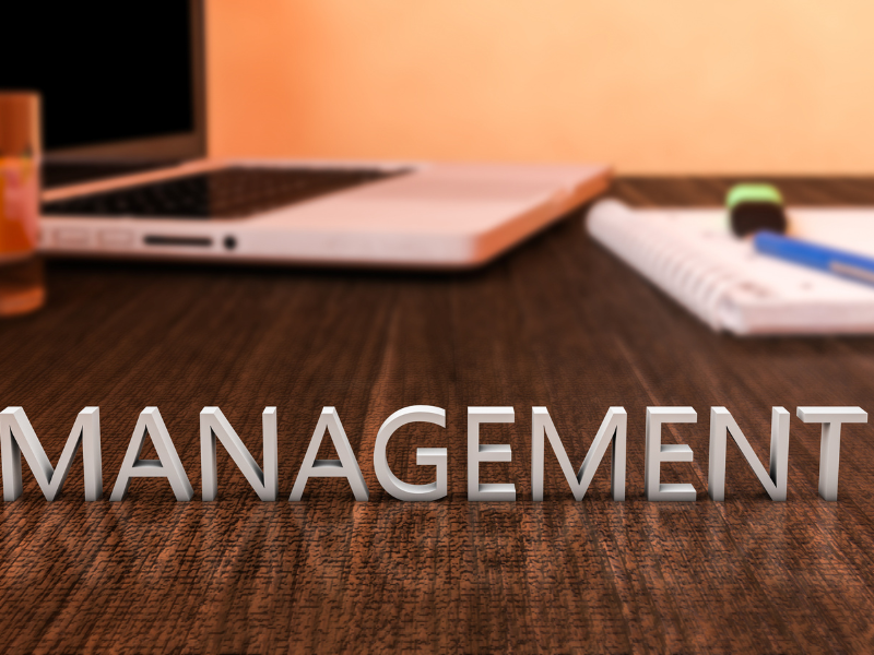 Management Consulting