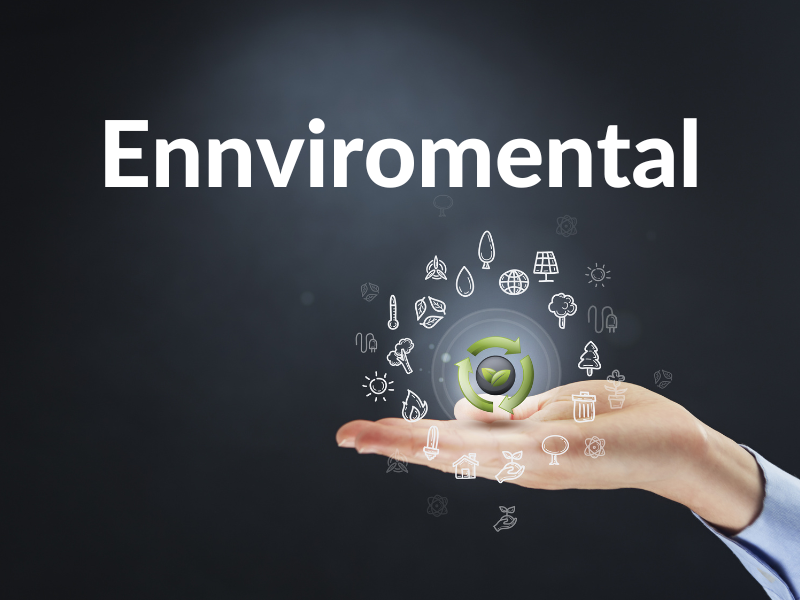 Environmental Consulting