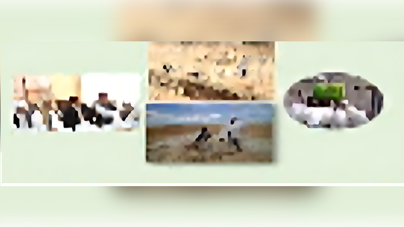 Matrooh Resources Management Project (World Bank)